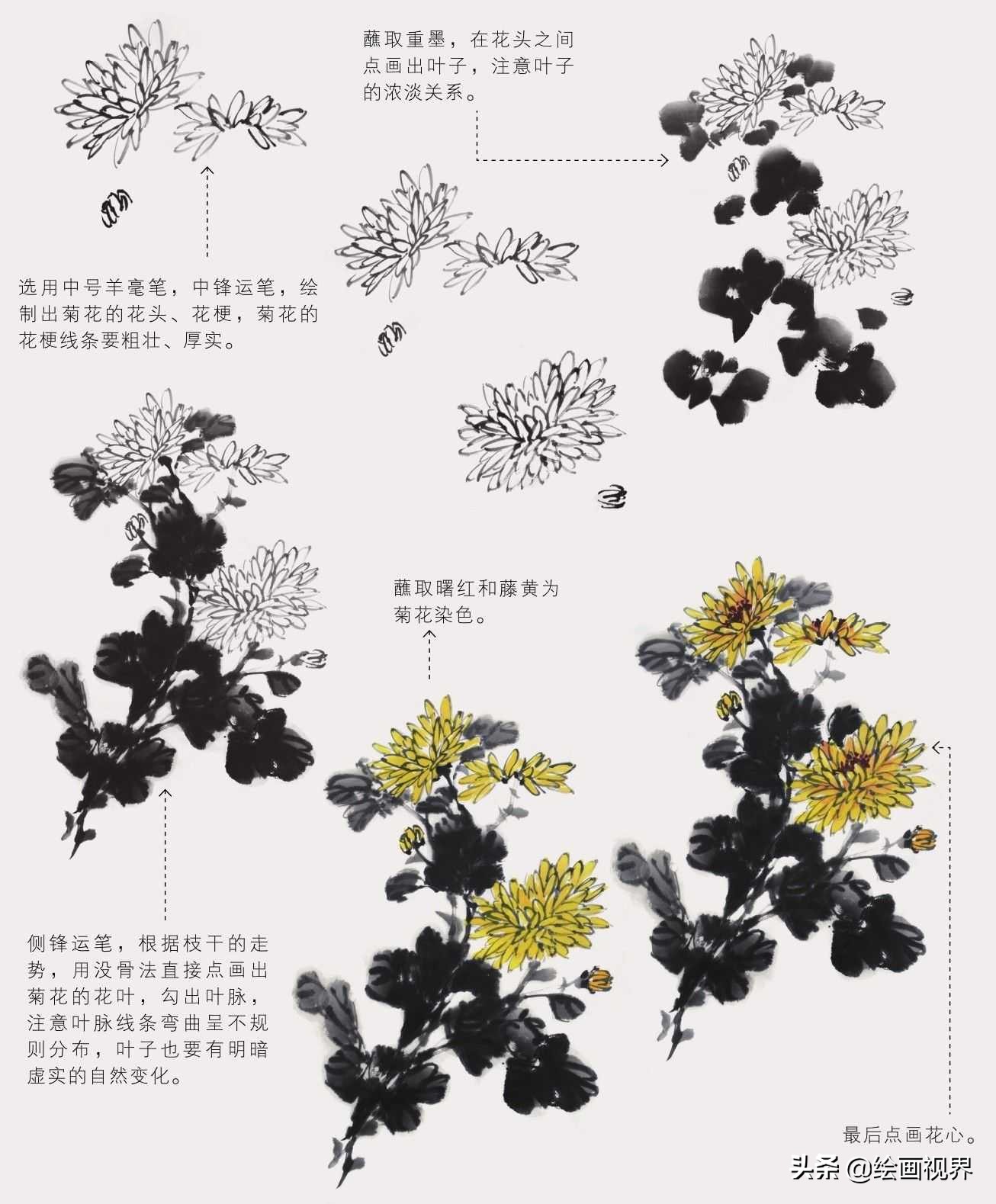 零基础国画（菊花）画法教程：学会这几点技法，几分钟画一朵菊花