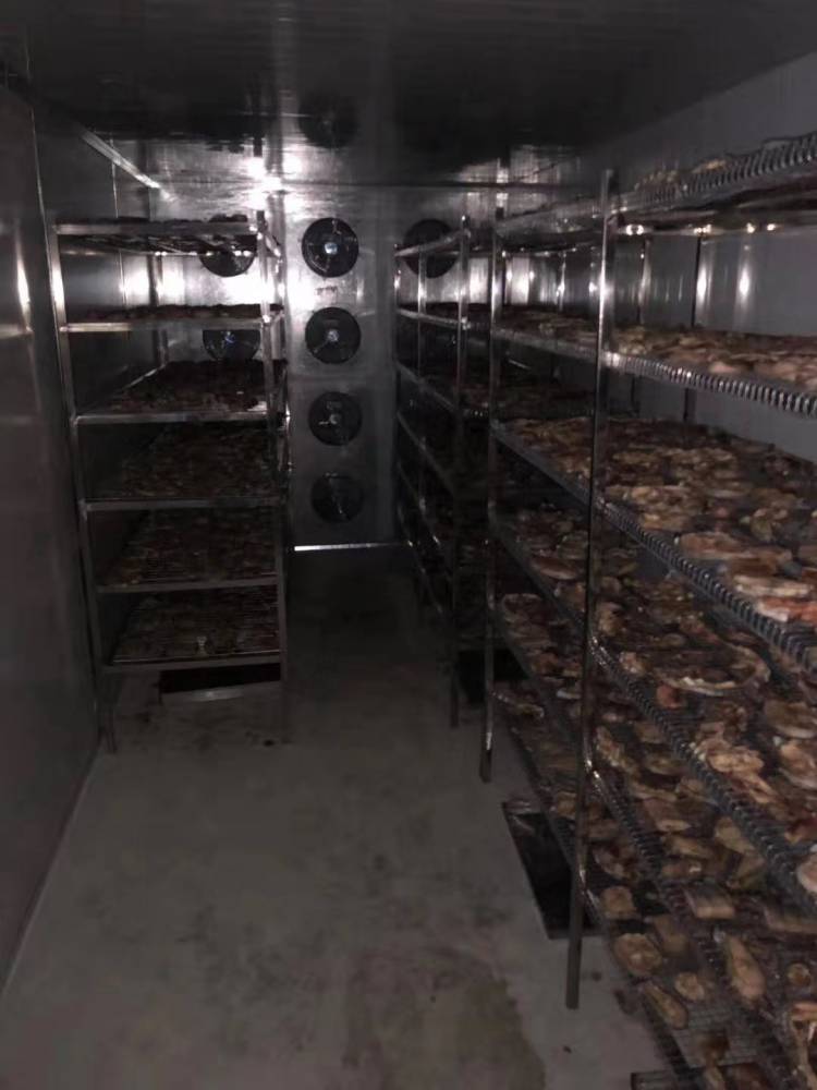 肉类专用烘干机大型,节能肉类烘干机