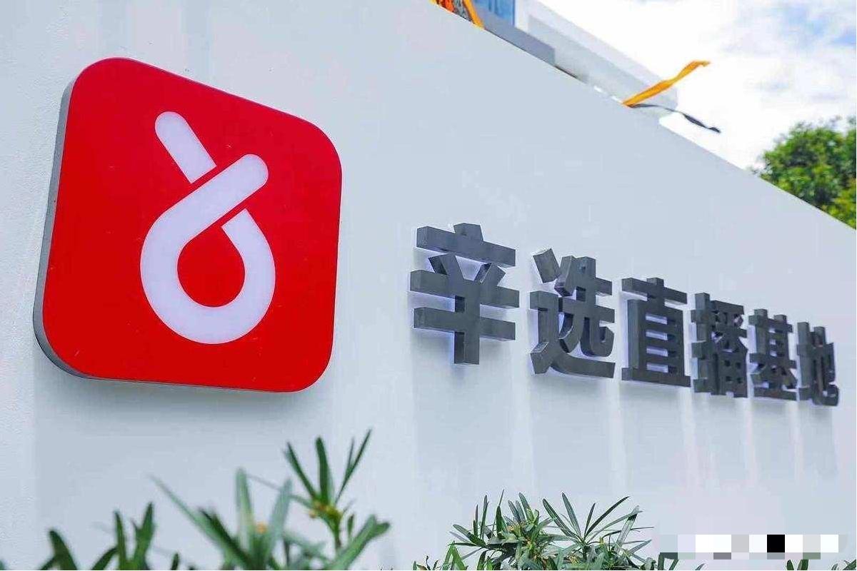 网红辛巴抖音事件,网红辛巴卖假货事件