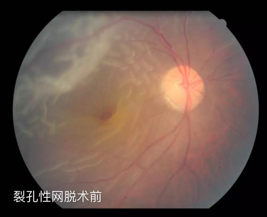 漳州909医院靠谱吗,漳州909医院预约挂号平台