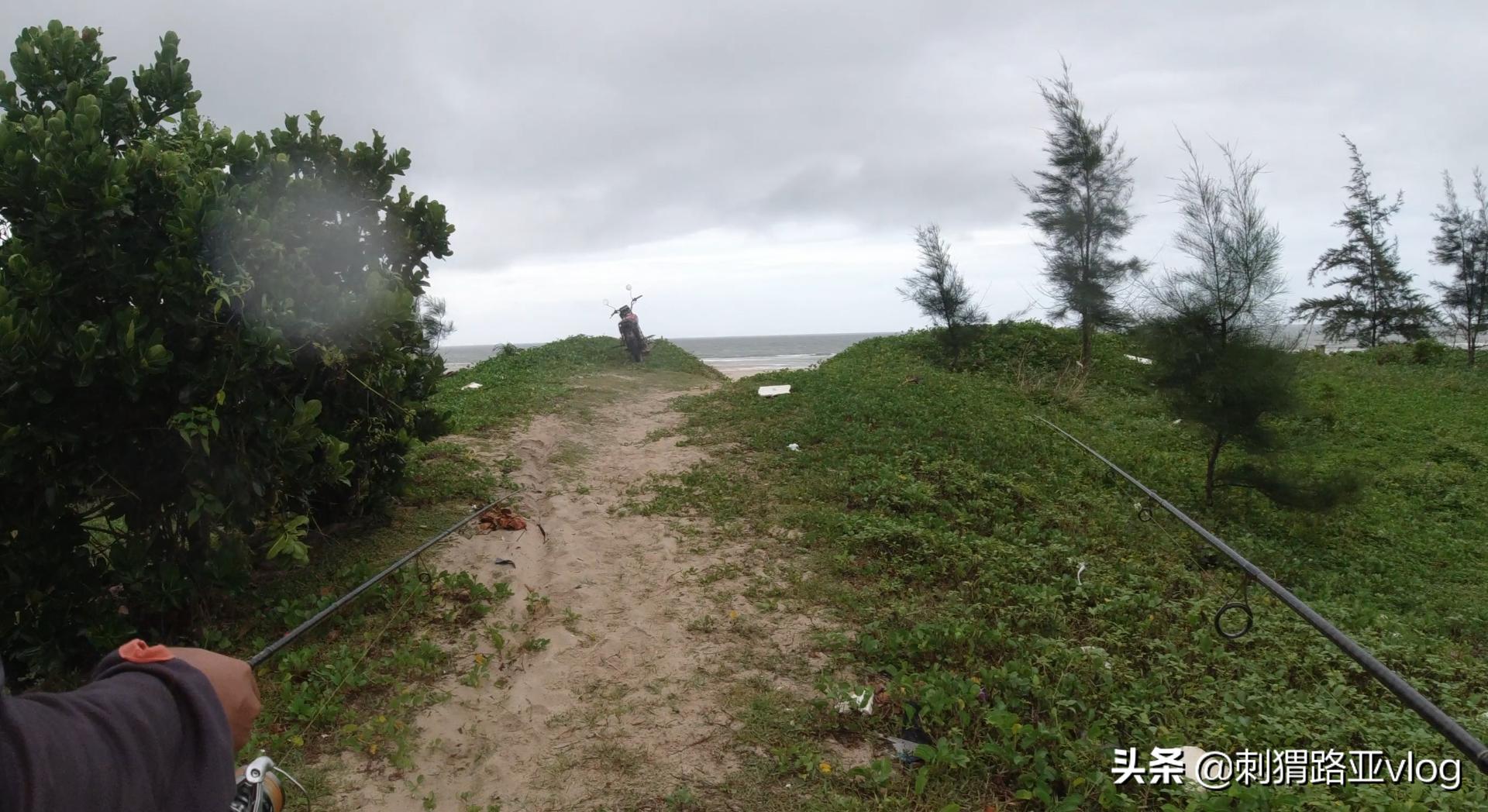 路亚钓海鱼视频,路亚钓鱼近岸小范围作钓攻略