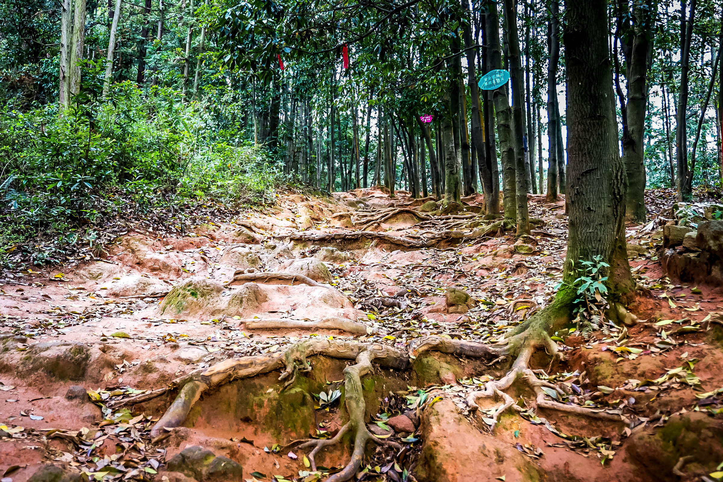 南昌湾里一日游攻略,南昌湾里徒步攻略