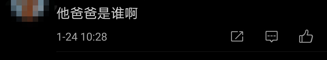 雪姨儿子照片,雪姨王琳儿子视频