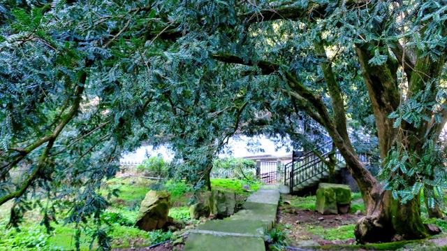 小城市也有好风光诸暨,诸暨在绍兴是一个怎么样的存在