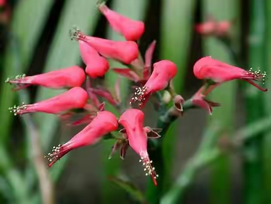 春暖花开的季节感谢大自然的馈赠,好香的蜂蜜感谢大自然的馈赠
