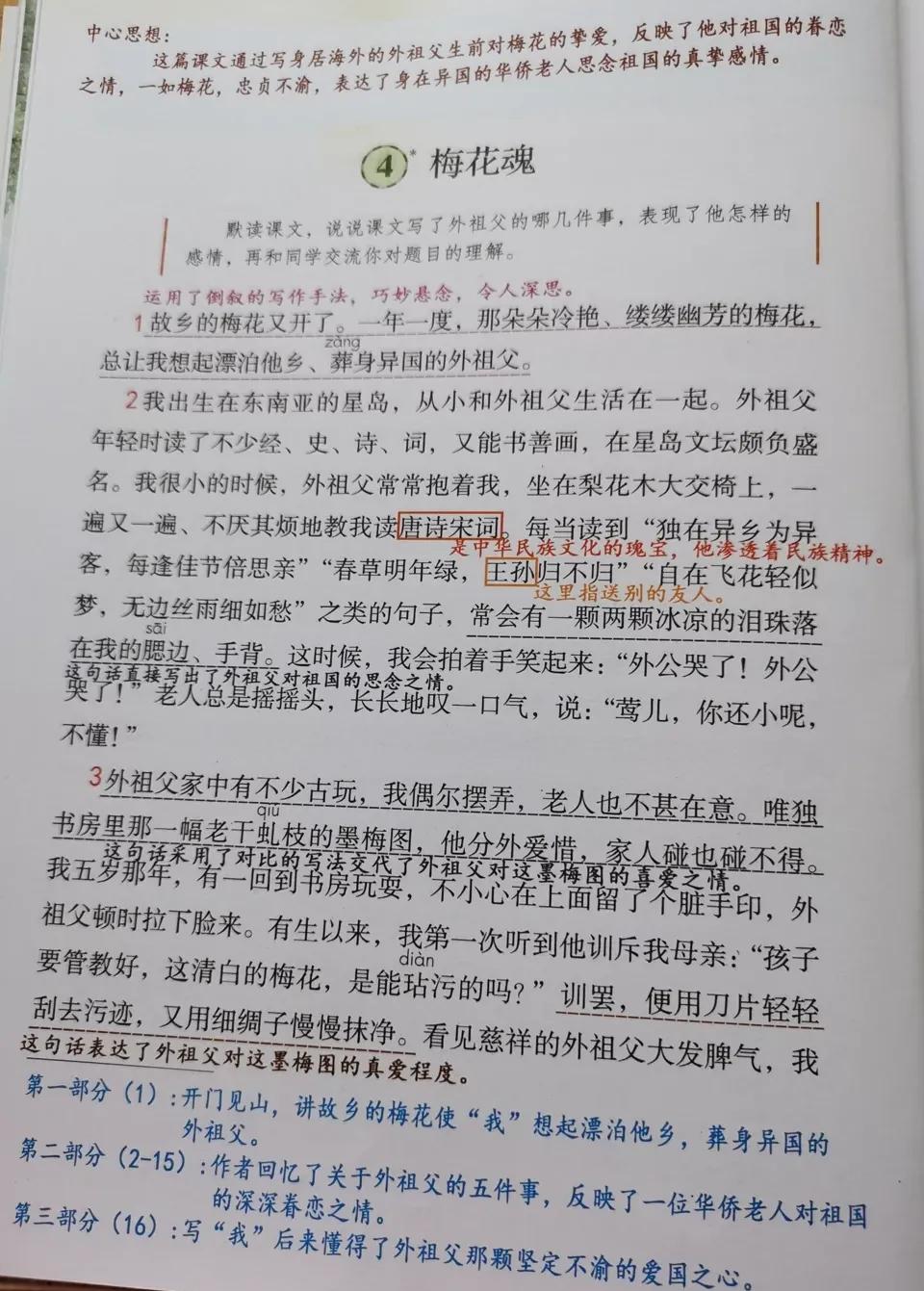 五年级下册语文第四单元笔记完整,牛奶爱面包五年级下册二单元笔记