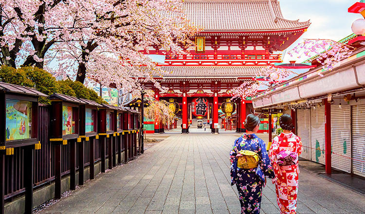 「文学评论」《你的旅行，必须有点味道》：一场旅行与美食的交锋