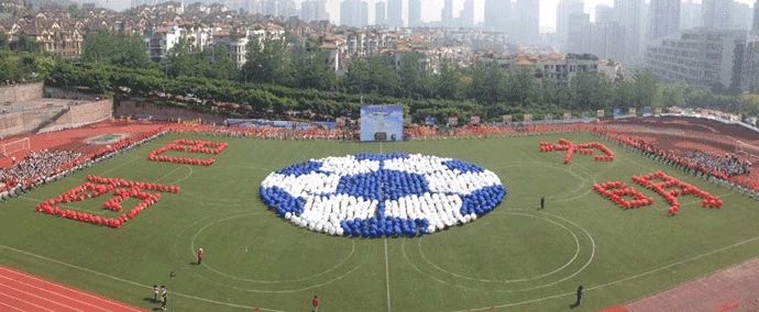 重庆小学费用到底多少钱,重庆的小学凭什么这么贵