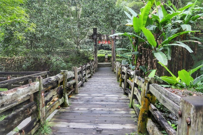 梅州采茶,梅州采茶体验