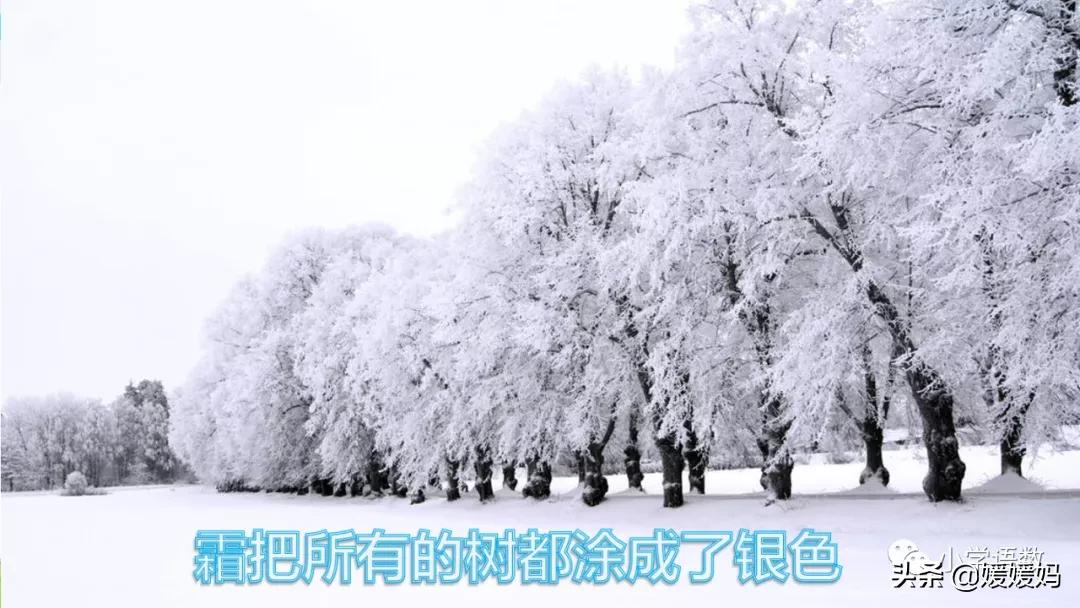 四年级下册巨人的花园课后题答案,四年级下册27课巨人的花园批注