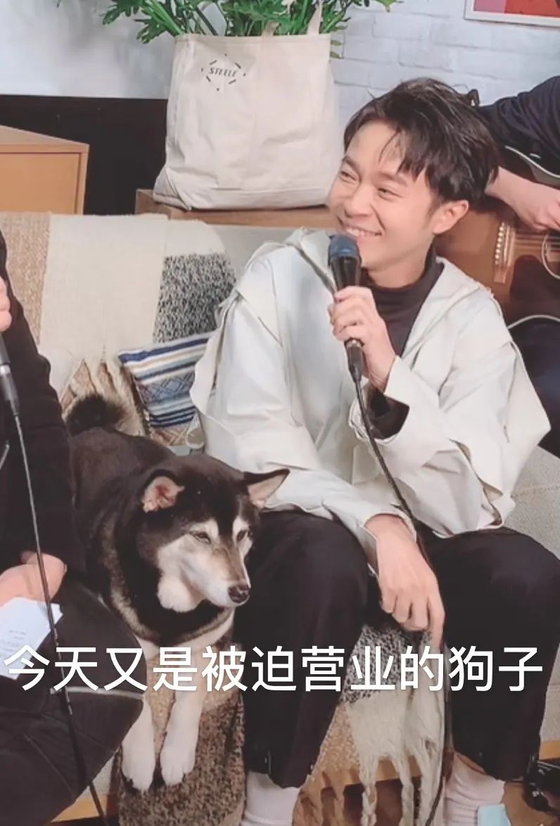 这辈子还能看到演唱会吗,还能再看到演唱会吗