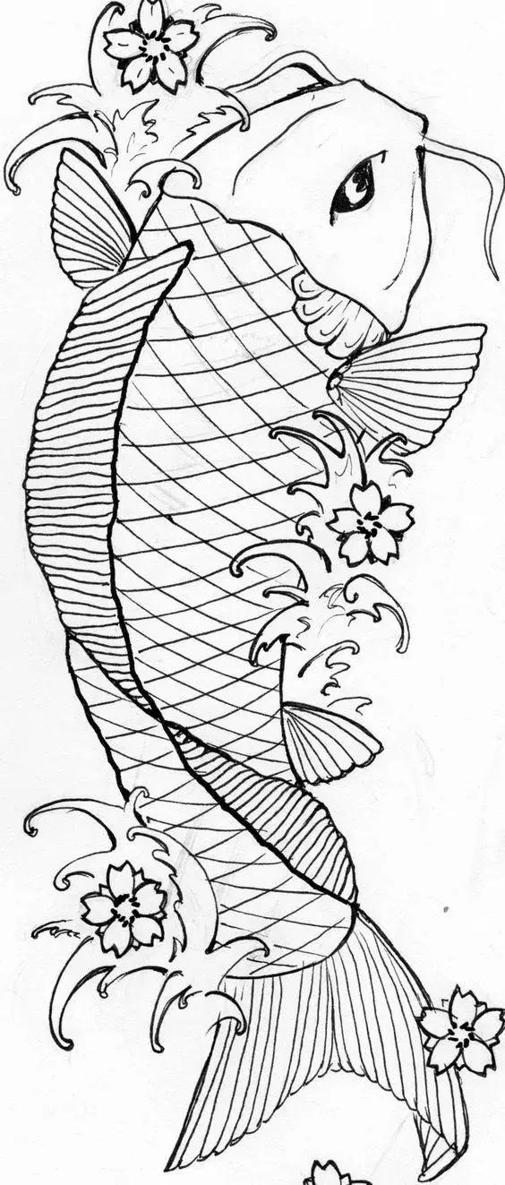 转运锦鲤简笔画,简笔画100种锦鲤图片