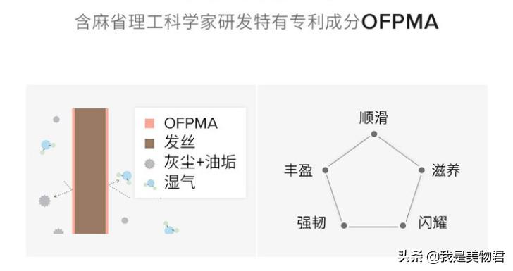用什么洗发水既能去油又能蓬松,头发炸毛适合什么洗发水