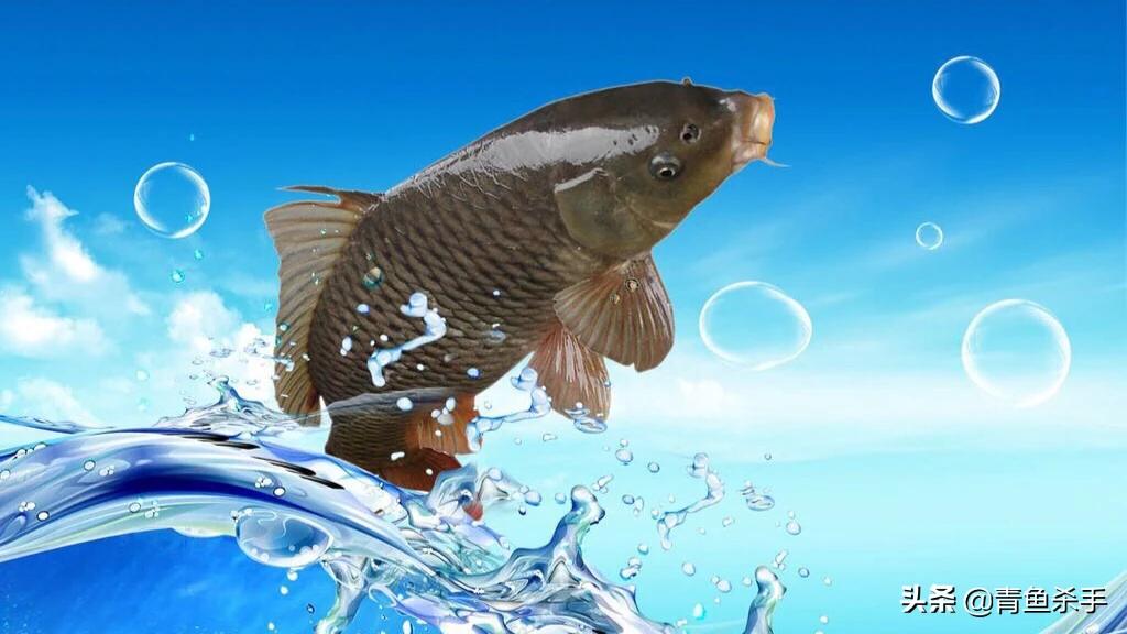 路亚炸线的原因分析和解决办法,玩路亚为什么炸线