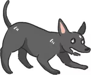 狗为什么爱吃猫粮,为什么狗爱吃白菜