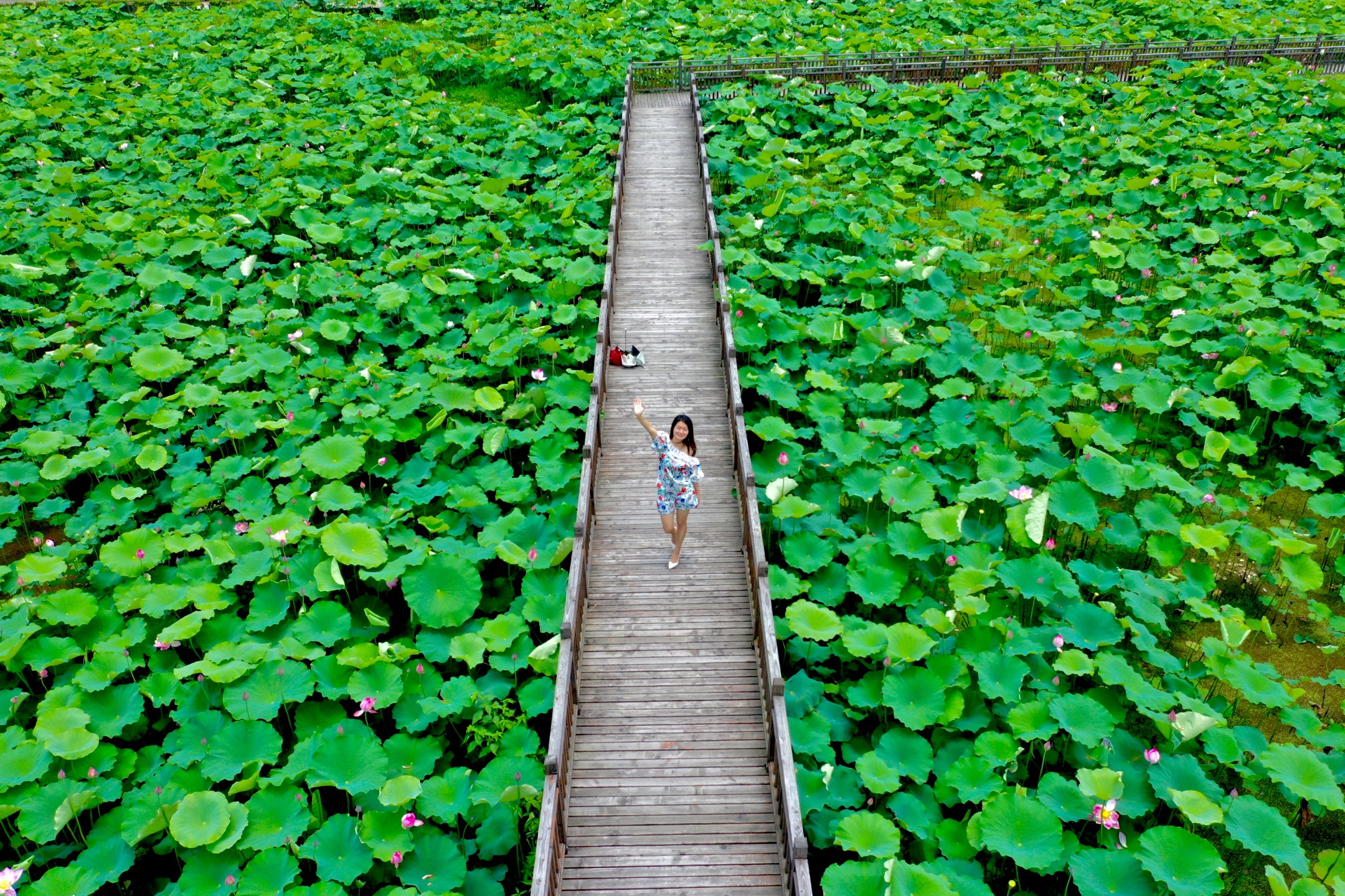夏季温州必游十大景点,温州内风景好的地方