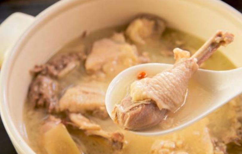 小狗尿出来黄绿色的,小狗吐黄绿色的水怎么办