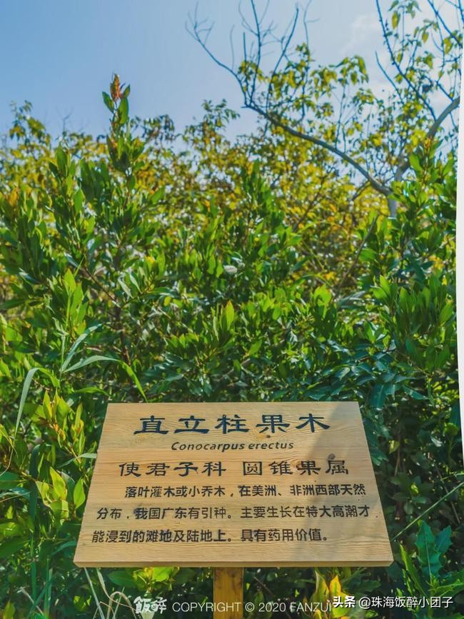 珠海最好的旅游攻略最新,珠海十大绝美夜景