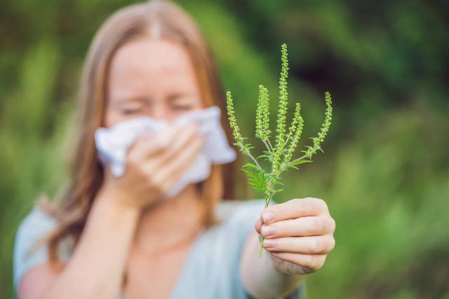过敏体质的人很困扰？如何摆脱？或可从这四个方面来进行调理