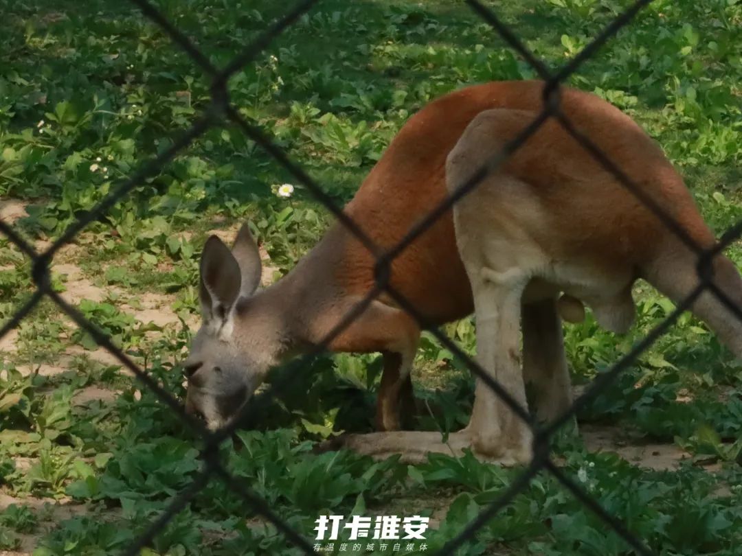 儿童节去儿童乐园,儿童节去公园玩