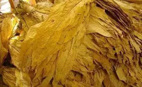 吸烟加过滤烟嘴会好些吗,加过滤嘴抽烟能减少危害吗