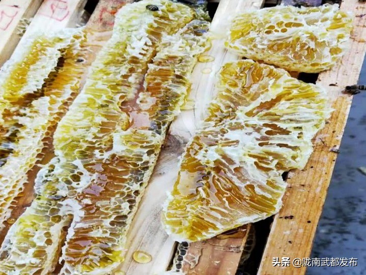 勤劳的小蜜蜂致富靠双手,勤劳小蜜蜂农村