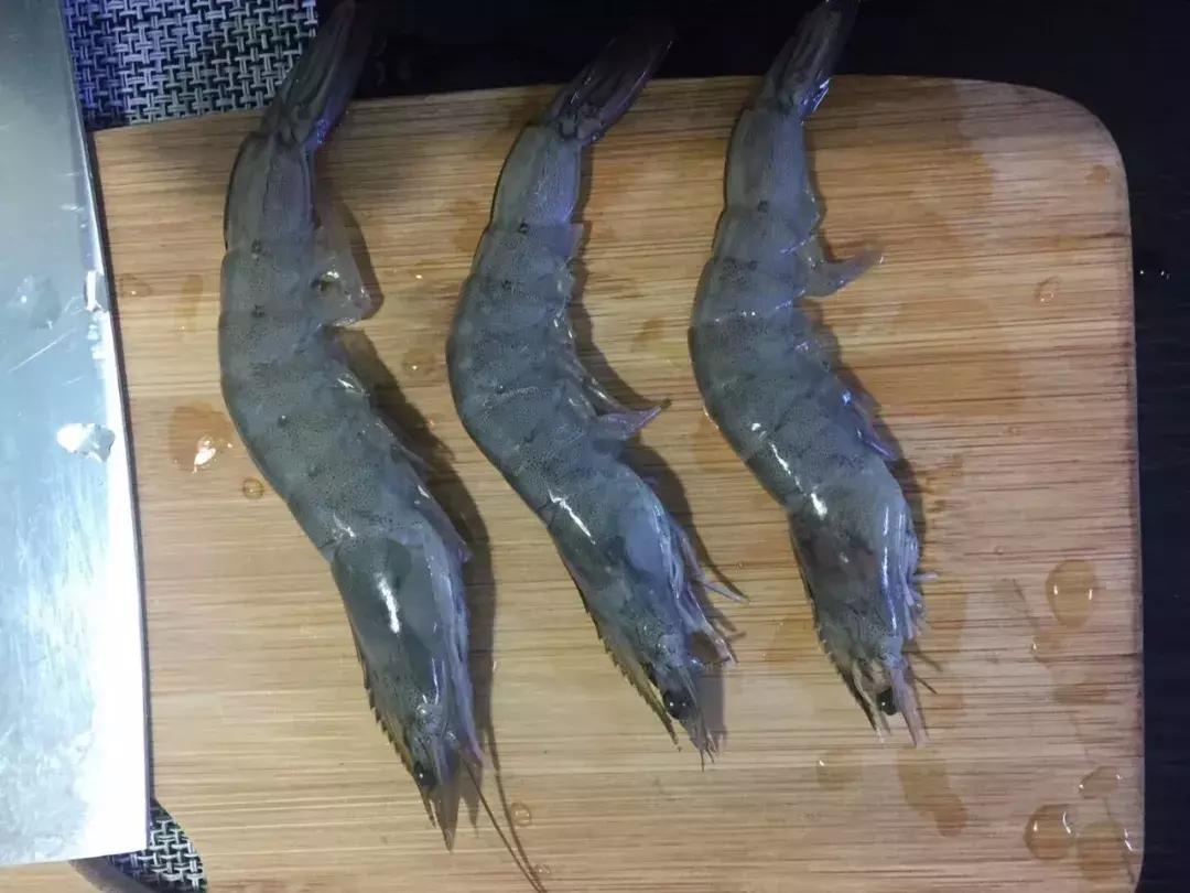 红虫蚯蚓大虾拉饵方法大集合,红虫虾饵蚯蚓拉饵