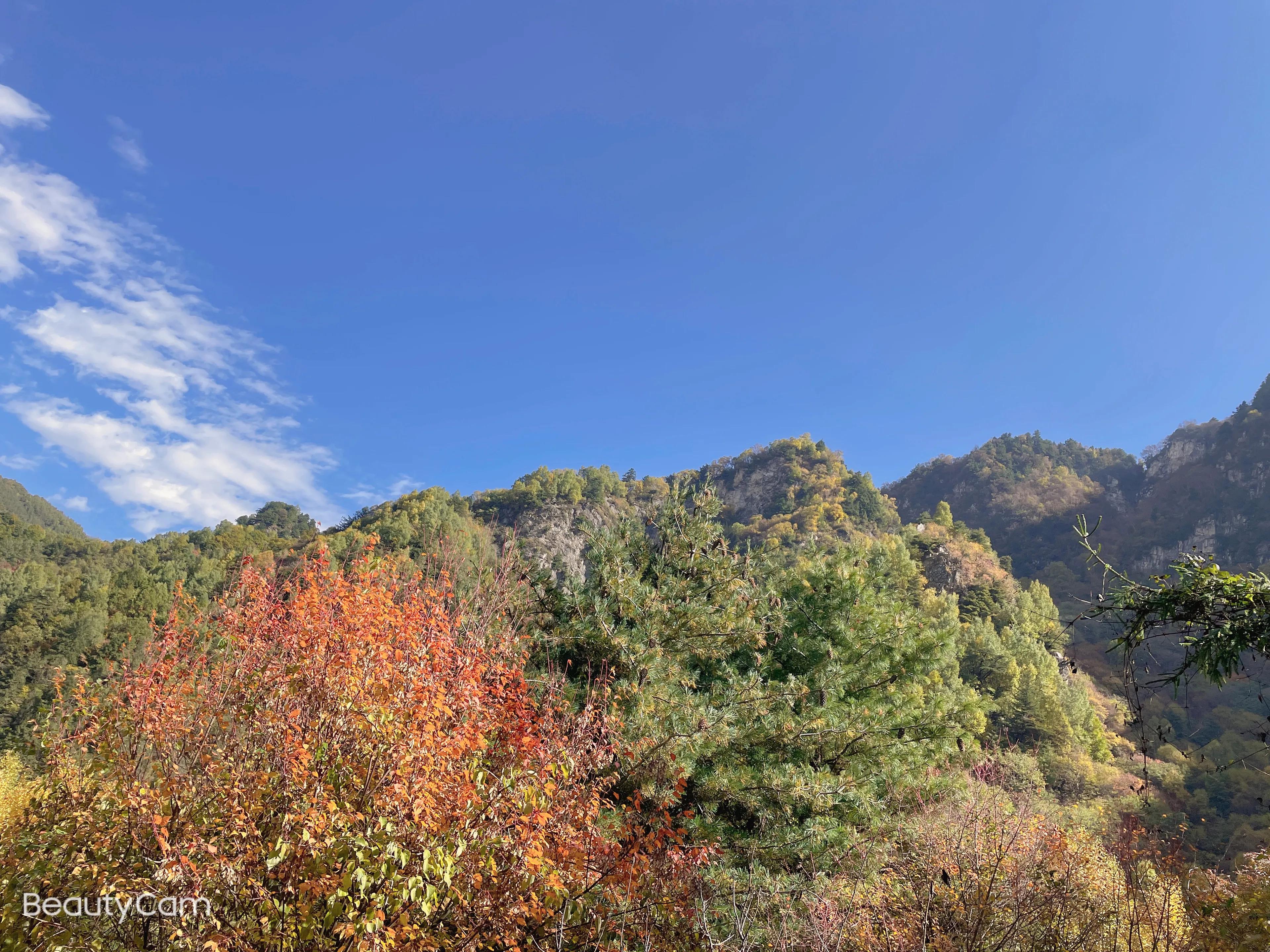青海省循化县孟达,青海省循化县孟达天池秋景