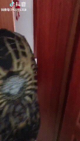 我爱我家一家人,天津我爱我家片段