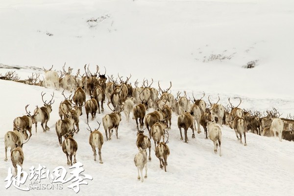 观赏地球的壮丽景观,看地球四季变换的视频
