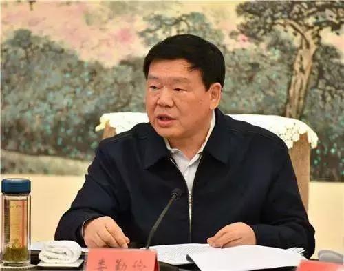 从捡垃圾到世界冠军完整,京东方发展史全过程