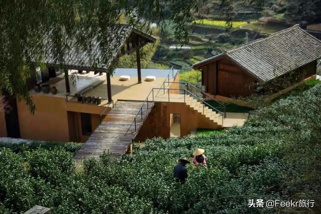 松阳又出一家避世仙居,改自老建筑仅设22间房,值得小住几日