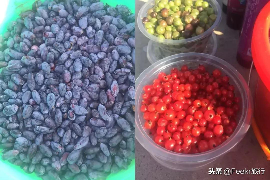 东北比较小众的美食,东北偏北的地方美食