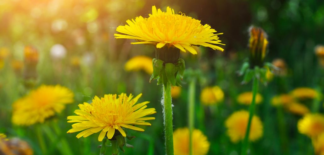 第一眼就喜欢的颜色决定你的性格,喜欢什么颜色就代表你是什么性格