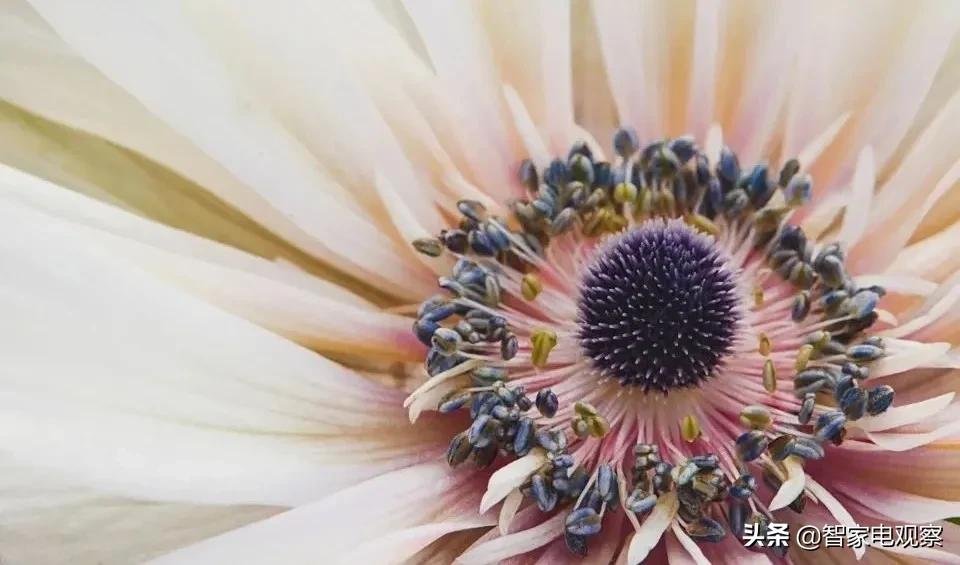 时代在变但零售的本质从未改变,实体家电卖场如何走出困境