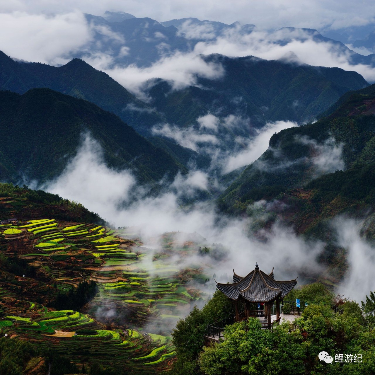 七月与安生拍照,七月与安生电影取景大学