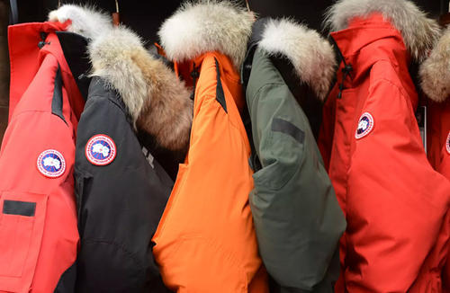 满大街都是加拿大鹅,满街加拿大鹅