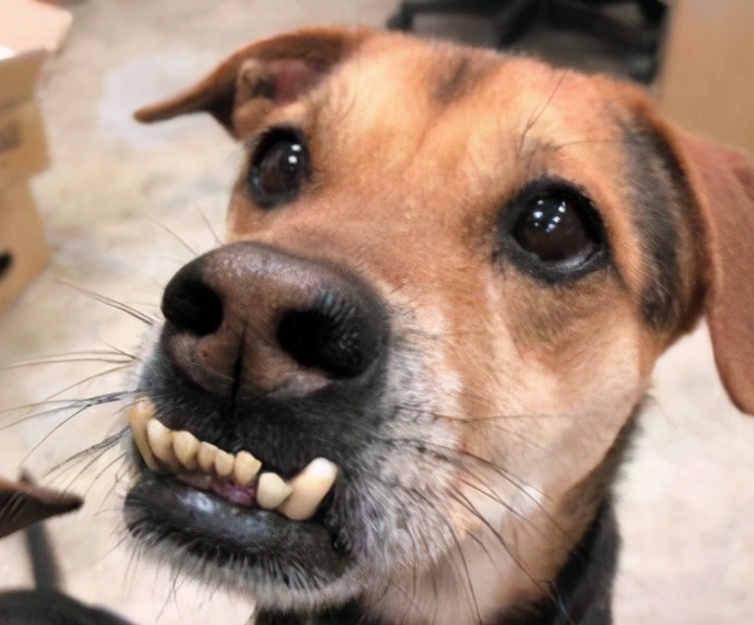 宝宝爱咬上嘴唇如何纠正,小孩喜欢咬嘴唇睡觉变龅牙