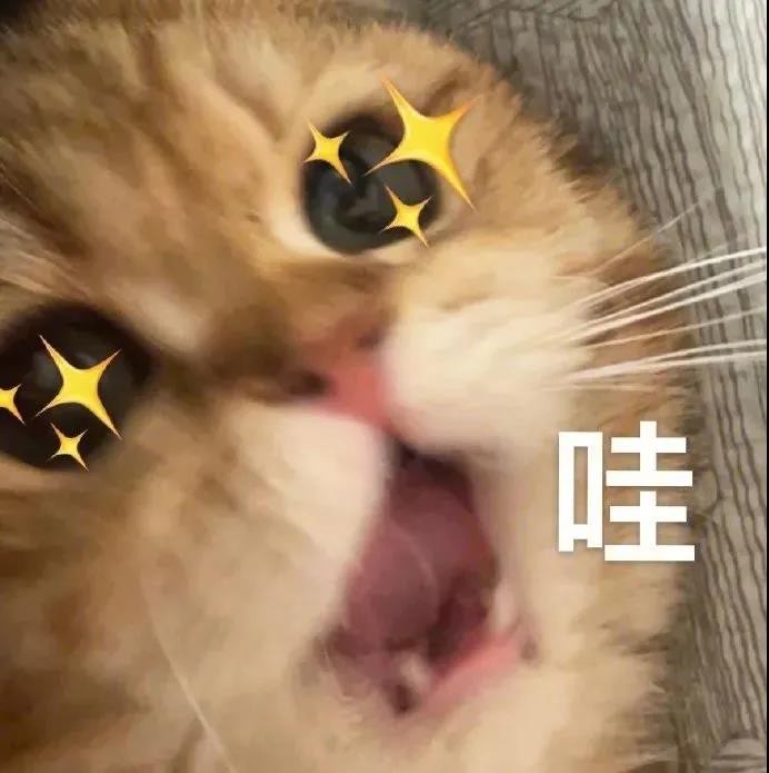 选对纸尿裤告别红屁屁,纸尿裤避坑指南来啦