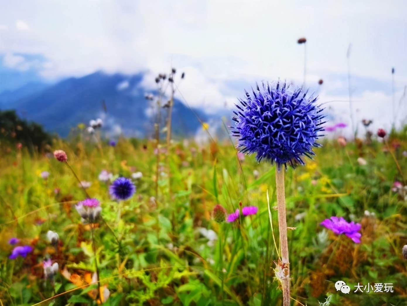 北京夏季最美十大登山步道,北京有一个神奇而美丽的步道
