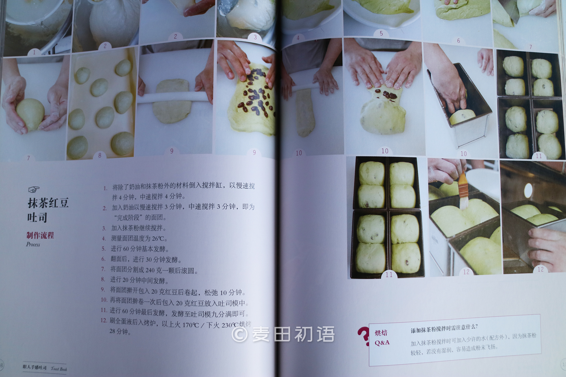 烘焙新手书,新手面包烘焙入门书