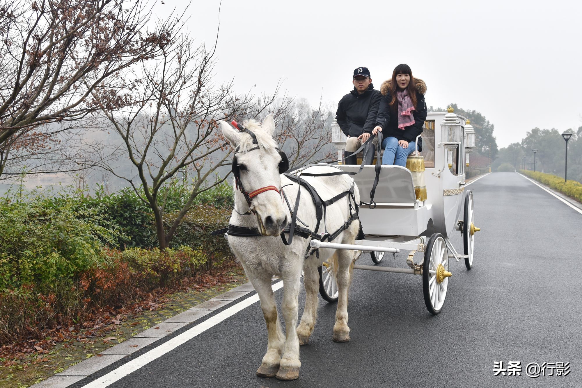南京古色古香的高端酒店,南京紫金山庄酒店