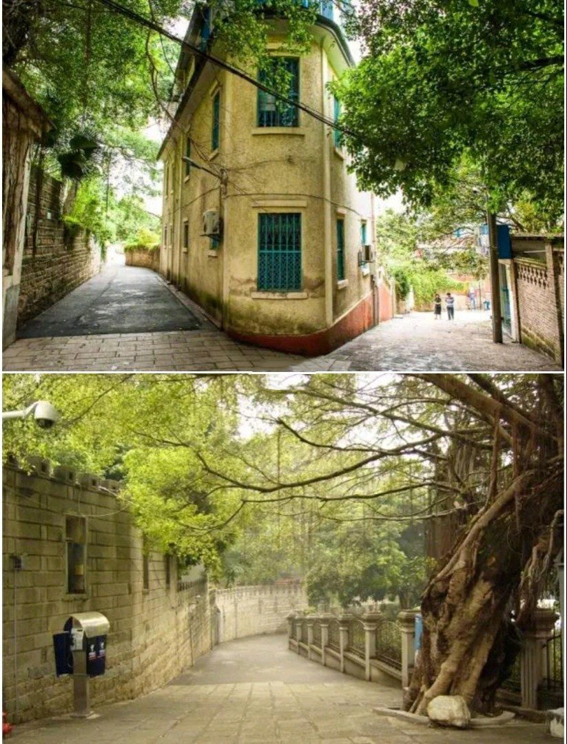 到厦门鼓浪屿游玩进岛须知,厦门鼓浪屿几点不能上岛