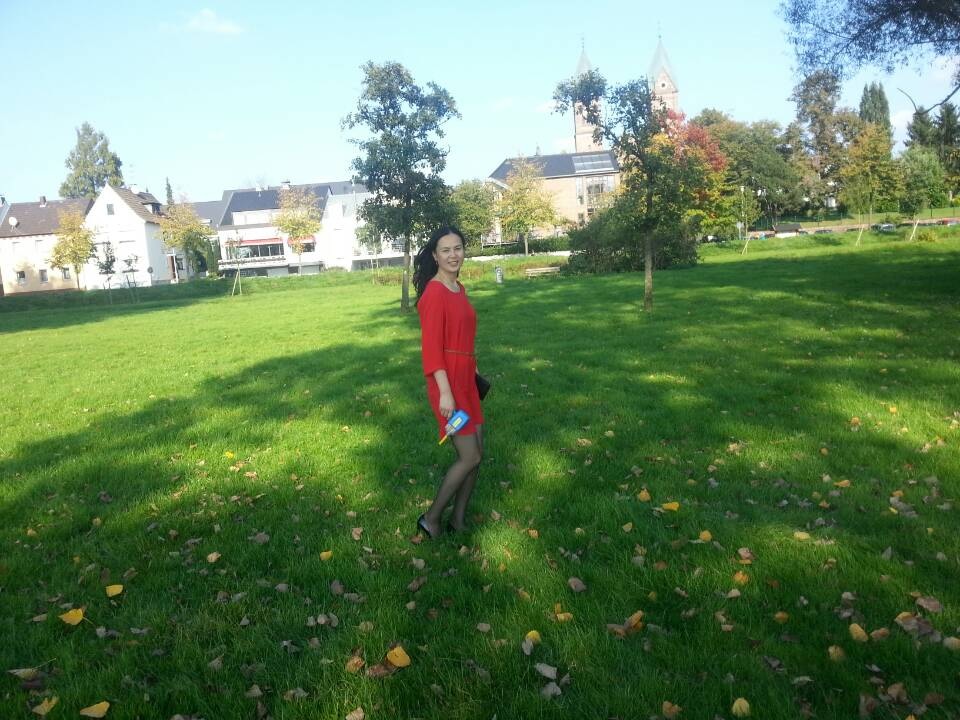 德国的夏天,德国的夏天小说