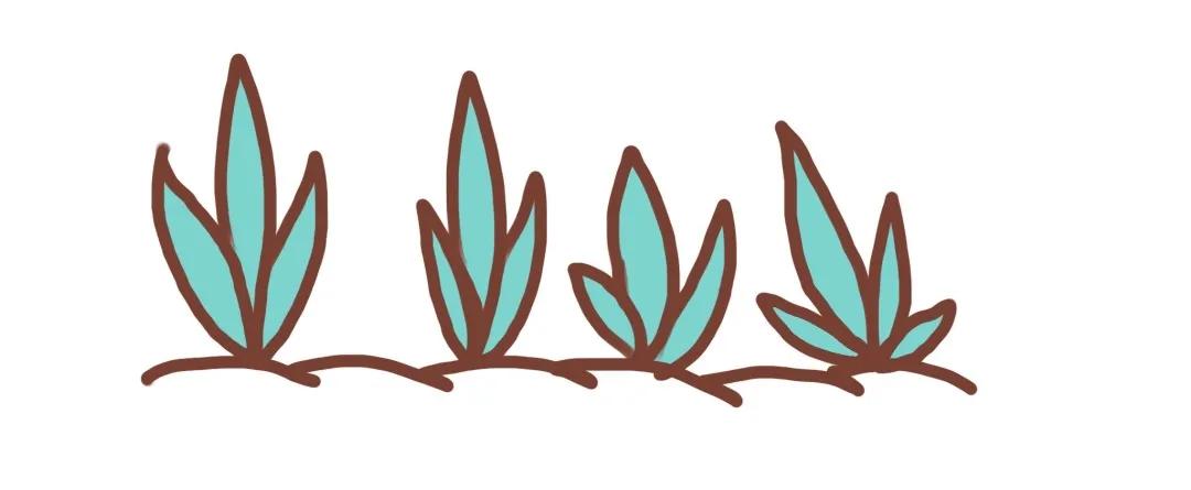 甲骨学堂——临深履薄