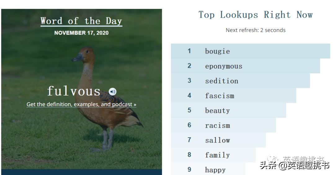 在线英文词典有哪些,权威英语词典推荐