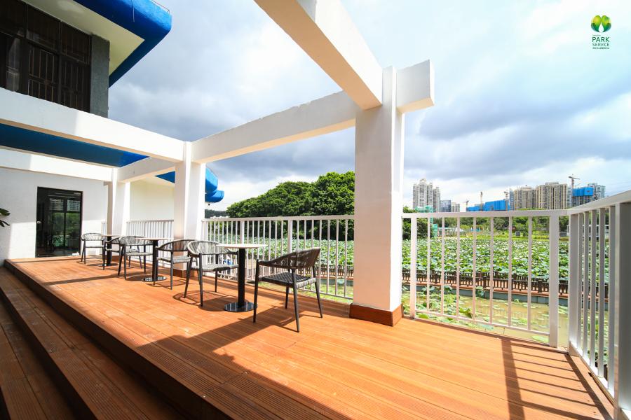 荷塘深处又添网红书院，深圳洪湖公园“荷·美空间”开门迎客