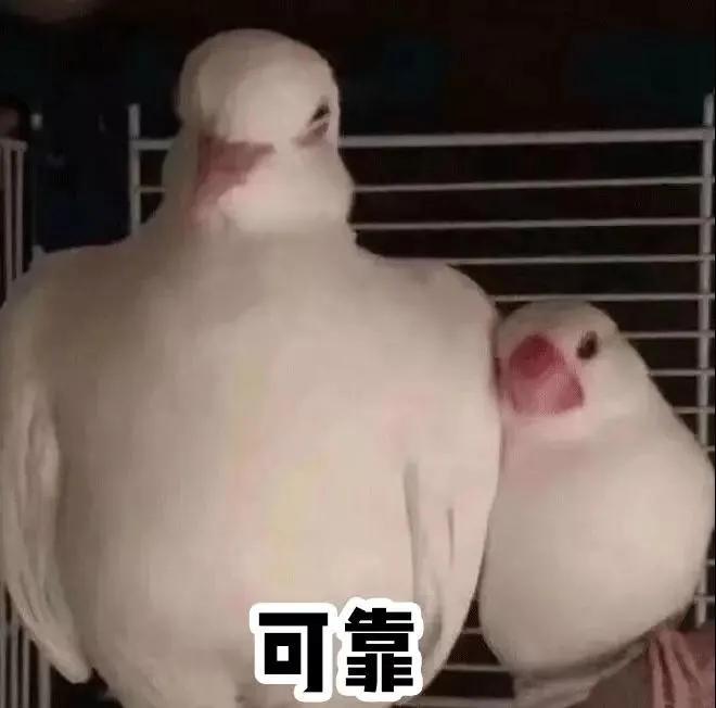 女生一些必须知道的事情,女生必须知道的9件事图片