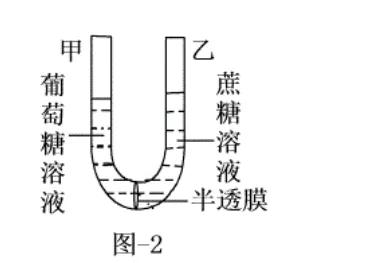 2002诺贝尔奖物理得主事迹,诺贝尔化学奖埃基莫夫
