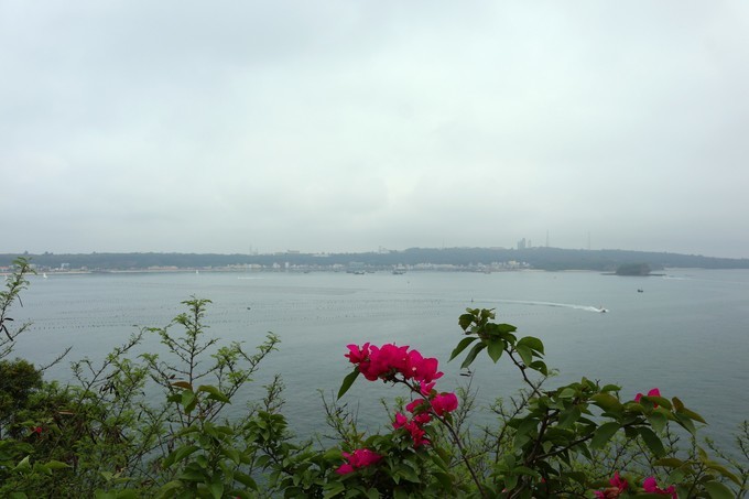 如约而至的涠洲岛,涠洲岛一生所爱